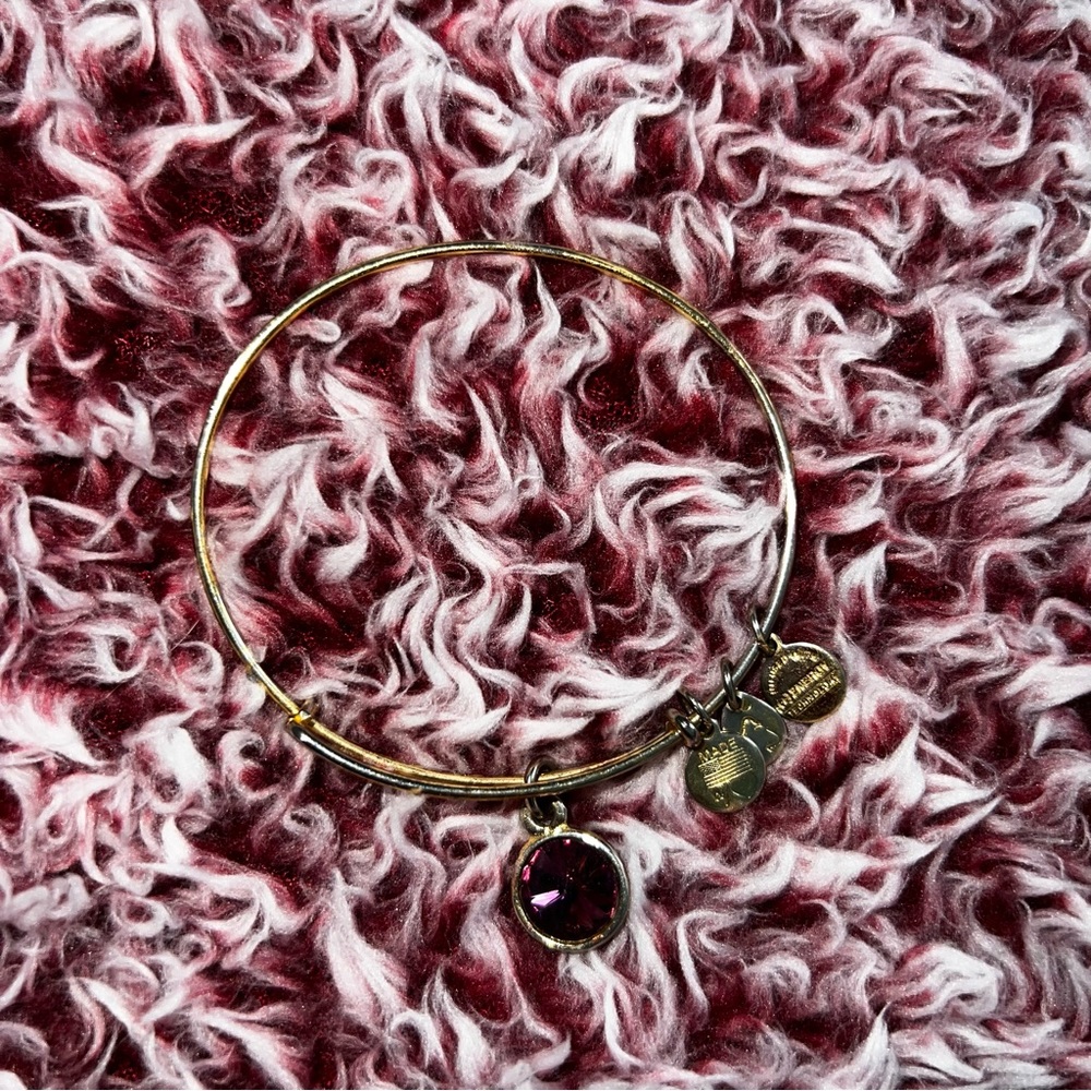 ALEX AND ANI- February birth stone charm, amethyst bangle